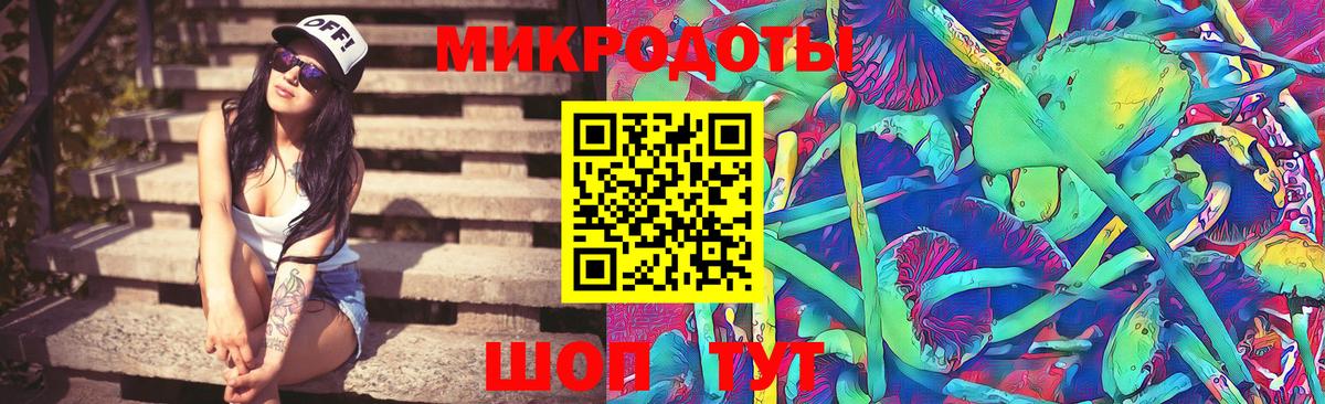 Электрогорск  Галлюциногенные грибы GOLDEN TEACHER  Галлюциногенные грибы Psilocybe  Вход с VPN 